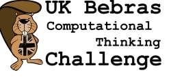 St Mary's Junior School is  the rising star in the Bebras Computing Challenge