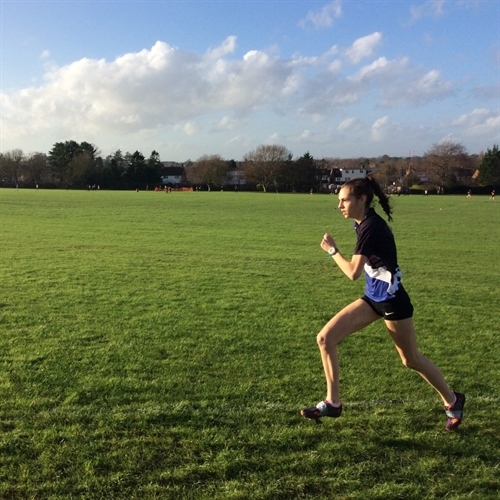 County Cross Country Championships 2016