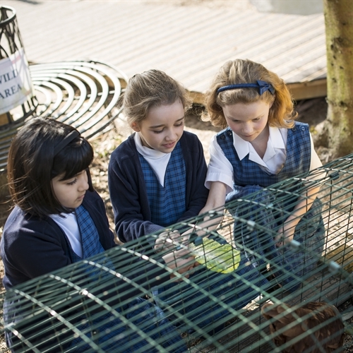 Forest School comes to St Mary's School, Cambridge