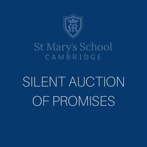 Silent Auction of Promises - 14 to 28 March